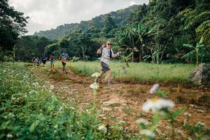 BIB: 
                            <button type="button" onclick="openModal(26029996)" class="btn btn-primary btn-sm float-right btn-popup" data-toggle="modal" data-target=".modal-high-quality">
                        <i class="fas fa-shopping-cart"></i> Add to Cart
                    </button>
                                            <button type="button" onclick="isThisMe(26029996, true)" class="btn btn-success btn-sm float-right btn-popup btn-isme hidden" data-toggle="tooltip" data-placement="bottom" title="นี่คือรูปของคุณใช่ไหม คลิกที่นี่เพื่อเอาเข้าอัลบั้ม">
                        <i class="fas fa-plus"></i> Add to album
                    </button>
                    <button type="button" onclick="isThisMe(26029996, false)" class="btn btn-warning btn-sm float-right btn-popup btn-isnotme hidden">
                        <i class="fas fa-ban"></i> Remove from album
                    </button>