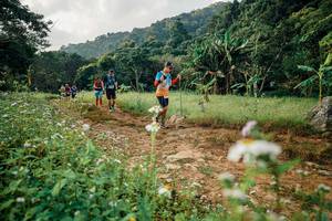 BIB: 
                            <button type="button" onclick="openModal(26029997)" class="btn btn-primary btn-sm float-right btn-popup" data-toggle="modal" data-target=".modal-high-quality">
                        <i class="fas fa-shopping-cart"></i> Add to Cart
                    </button>
                                            <button type="button" onclick="isThisMe(26029997, true)" class="btn btn-success btn-sm float-right btn-popup btn-isme hidden" data-toggle="tooltip" data-placement="bottom" title="นี่คือรูปของคุณใช่ไหม คลิกที่นี่เพื่อเอาเข้าอัลบั้ม">
                        <i class="fas fa-plus"></i> Add to album
                    </button>
                    <button type="button" onclick="isThisMe(26029997, false)" class="btn btn-warning btn-sm float-right btn-popup btn-isnotme hidden">
                        <i class="fas fa-ban"></i> Remove from album
                    </button>