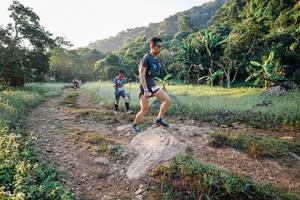 BIB: 
                            <button type="button" onclick="openModal(25891146)" class="btn btn-primary btn-sm float-right btn-popup" data-toggle="modal" data-target=".modal-high-quality">
                        <i class="fas fa-shopping-cart"></i> Add to Cart
                    </button>
                                            <button type="button" onclick="isThisMe(25891146, true)" class="btn btn-success btn-sm float-right btn-popup btn-isme hidden" data-toggle="tooltip" data-placement="bottom" title="นี่คือรูปของคุณใช่ไหม คลิกที่นี่เพื่อเอาเข้าอัลบั้ม">
                        <i class="fas fa-plus"></i> Add to album
                    </button>
                    <button type="button" onclick="isThisMe(25891146, false)" class="btn btn-warning btn-sm float-right btn-popup btn-isnotme hidden">
                        <i class="fas fa-ban"></i> Remove from album
                    </button>