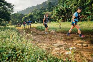 BIB: 
                            <button type="button" onclick="openModal(26029719)" class="btn btn-primary btn-sm float-right btn-popup" data-toggle="modal" data-target=".modal-high-quality">
                        <i class="fas fa-shopping-cart"></i> Add to Cart
                    </button>
                                            <button type="button" onclick="isThisMe(26029719, true)" class="btn btn-success btn-sm float-right btn-popup btn-isme hidden" data-toggle="tooltip" data-placement="bottom" title="นี่คือรูปของคุณใช่ไหม คลิกที่นี่เพื่อเอาเข้าอัลบั้ม">
                        <i class="fas fa-plus"></i> Add to album
                    </button>
                    <button type="button" onclick="isThisMe(26029719, false)" class="btn btn-warning btn-sm float-right btn-popup btn-isnotme hidden">
                        <i class="fas fa-ban"></i> Remove from album
                    </button>