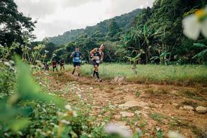 BIB: 
                            <button type="button" onclick="openModal(26030944)" class="btn btn-primary btn-sm float-right btn-popup" data-toggle="modal" data-target=".modal-high-quality">
                        <i class="fas fa-shopping-cart"></i> Add to Cart
                    </button>
                                            <button type="button" onclick="isThisMe(26030944, true)" class="btn btn-success btn-sm float-right btn-popup btn-isme hidden" data-toggle="tooltip" data-placement="bottom" title="นี่คือรูปของคุณใช่ไหม คลิกที่นี่เพื่อเอาเข้าอัลบั้ม">
                        <i class="fas fa-plus"></i> Add to album
                    </button>
                    <button type="button" onclick="isThisMe(26030944, false)" class="btn btn-warning btn-sm float-right btn-popup btn-isnotme hidden">
                        <i class="fas fa-ban"></i> Remove from album
                    </button>