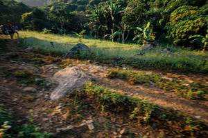 BIB: 
                            <button type="button" onclick="openModal(25933937)" class="btn btn-primary btn-sm float-right btn-popup" data-toggle="modal" data-target=".modal-high-quality">
                        <i class="fas fa-shopping-cart"></i> Add to Cart
                    </button>
                                            <button type="button" onclick="isThisMe(25933937, true)" class="btn btn-success btn-sm float-right btn-popup btn-isme hidden" data-toggle="tooltip" data-placement="bottom" title="นี่คือรูปของคุณใช่ไหม คลิกที่นี่เพื่อเอาเข้าอัลบั้ม">
                        <i class="fas fa-plus"></i> Add to album
                    </button>
                    <button type="button" onclick="isThisMe(25933937, false)" class="btn btn-warning btn-sm float-right btn-popup btn-isnotme hidden">
                        <i class="fas fa-ban"></i> Remove from album
                    </button>