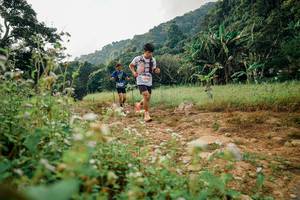 BIB: 
                            <button type="button" onclick="openModal(26069205)" class="btn btn-primary btn-sm float-right btn-popup" data-toggle="modal" data-target=".modal-high-quality">
                        <i class="fas fa-shopping-cart"></i> Add to Cart
                    </button>
                                            <button type="button" onclick="isThisMe(26069205, true)" class="btn btn-success btn-sm float-right btn-popup btn-isme hidden" data-toggle="tooltip" data-placement="bottom" title="นี่คือรูปของคุณใช่ไหม คลิกที่นี่เพื่อเอาเข้าอัลบั้ม">
                        <i class="fas fa-plus"></i> Add to album
                    </button>
                    <button type="button" onclick="isThisMe(26069205, false)" class="btn btn-warning btn-sm float-right btn-popup btn-isnotme hidden">
                        <i class="fas fa-ban"></i> Remove from album
                    </button>