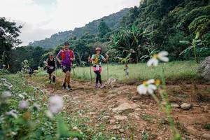 BIB: 
                            <button type="button" onclick="openModal(26028314)" class="btn btn-primary btn-sm float-right btn-popup" data-toggle="modal" data-target=".modal-high-quality">
                        <i class="fas fa-shopping-cart"></i> Add to Cart
                    </button>
                                            <button type="button" onclick="isThisMe(26028314, true)" class="btn btn-success btn-sm float-right btn-popup btn-isme hidden" data-toggle="tooltip" data-placement="bottom" title="นี่คือรูปของคุณใช่ไหม คลิกที่นี่เพื่อเอาเข้าอัลบั้ม">
                        <i class="fas fa-plus"></i> Add to album
                    </button>
                    <button type="button" onclick="isThisMe(26028314, false)" class="btn btn-warning btn-sm float-right btn-popup btn-isnotme hidden">
                        <i class="fas fa-ban"></i> Remove from album
                    </button>