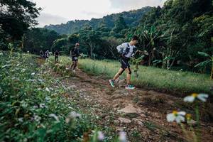 BIB: 
                            <button type="button" onclick="openModal(26009488)" class="btn btn-primary btn-sm float-right btn-popup" data-toggle="modal" data-target=".modal-high-quality">
                        <i class="fas fa-shopping-cart"></i> Add to Cart
                    </button>
                                            <button type="button" onclick="isThisMe(26009488, true)" class="btn btn-success btn-sm float-right btn-popup btn-isme hidden" data-toggle="tooltip" data-placement="bottom" title="นี่คือรูปของคุณใช่ไหม คลิกที่นี่เพื่อเอาเข้าอัลบั้ม">
                        <i class="fas fa-plus"></i> Add to album
                    </button>
                    <button type="button" onclick="isThisMe(26009488, false)" class="btn btn-warning btn-sm float-right btn-popup btn-isnotme hidden">
                        <i class="fas fa-ban"></i> Remove from album
                    </button>