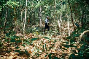 BIB: 
                            <button type="button" onclick="openModal(26126652)" class="btn btn-primary btn-sm float-right btn-popup" data-toggle="modal" data-target=".modal-high-quality">
                        <i class="fas fa-shopping-cart"></i> Add to Cart
                    </button>
                                            <button type="button" onclick="isThisMe(26126652, true)" class="btn btn-success btn-sm float-right btn-popup btn-isme hidden" data-toggle="tooltip" data-placement="bottom" title="นี่คือรูปของคุณใช่ไหม คลิกที่นี่เพื่อเอาเข้าอัลบั้ม">
                        <i class="fas fa-plus"></i> Add to album
                    </button>
                    <button type="button" onclick="isThisMe(26126652, false)" class="btn btn-warning btn-sm float-right btn-popup btn-isnotme hidden">
                        <i class="fas fa-ban"></i> Remove from album
                    </button>