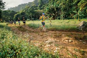 BIB: 
                            <button type="button" onclick="openModal(26029672)" class="btn btn-primary btn-sm float-right btn-popup" data-toggle="modal" data-target=".modal-high-quality">
                        <i class="fas fa-shopping-cart"></i> Add to Cart
                    </button>
                                            <button type="button" onclick="isThisMe(26029672, true)" class="btn btn-success btn-sm float-right btn-popup btn-isme hidden" data-toggle="tooltip" data-placement="bottom" title="นี่คือรูปของคุณใช่ไหม คลิกที่นี่เพื่อเอาเข้าอัลบั้ม">
                        <i class="fas fa-plus"></i> Add to album
                    </button>
                    <button type="button" onclick="isThisMe(26029672, false)" class="btn btn-warning btn-sm float-right btn-popup btn-isnotme hidden">
                        <i class="fas fa-ban"></i> Remove from album
                    </button>