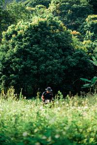 BIB: 
                            <button type="button" onclick="openModal(26015960)" class="btn btn-primary btn-sm float-right btn-popup" data-toggle="modal" data-target=".modal-high-quality">
                        <i class="fas fa-shopping-cart"></i> Add to Cart
                    </button>
                                            <button type="button" onclick="isThisMe(26015960, true)" class="btn btn-success btn-sm float-right btn-popup btn-isme hidden" data-toggle="tooltip" data-placement="bottom" title="นี่คือรูปของคุณใช่ไหม คลิกที่นี่เพื่อเอาเข้าอัลบั้ม">
                        <i class="fas fa-plus"></i> Add to album
                    </button>
                    <button type="button" onclick="isThisMe(26015960, false)" class="btn btn-warning btn-sm float-right btn-popup btn-isnotme hidden">
                        <i class="fas fa-ban"></i> Remove from album
                    </button>