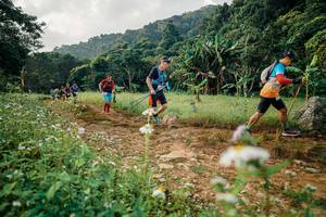 BIB: 
                            <button type="button" onclick="openModal(26030008)" class="btn btn-primary btn-sm float-right btn-popup" data-toggle="modal" data-target=".modal-high-quality">
                        <i class="fas fa-shopping-cart"></i> Add to Cart
                    </button>
                                            <button type="button" onclick="isThisMe(26030008, true)" class="btn btn-success btn-sm float-right btn-popup btn-isme hidden" data-toggle="tooltip" data-placement="bottom" title="นี่คือรูปของคุณใช่ไหม คลิกที่นี่เพื่อเอาเข้าอัลบั้ม">
                        <i class="fas fa-plus"></i> Add to album
                    </button>
                    <button type="button" onclick="isThisMe(26030008, false)" class="btn btn-warning btn-sm float-right btn-popup btn-isnotme hidden">
                        <i class="fas fa-ban"></i> Remove from album
                    </button>