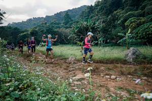 BIB: 
                            <button type="button" onclick="openModal(26027630)" class="btn btn-primary btn-sm float-right btn-popup" data-toggle="modal" data-target=".modal-high-quality">
                        <i class="fas fa-shopping-cart"></i> Add to Cart
                    </button>
                                            <button type="button" onclick="isThisMe(26027630, true)" class="btn btn-success btn-sm float-right btn-popup btn-isme hidden" data-toggle="tooltip" data-placement="bottom" title="นี่คือรูปของคุณใช่ไหม คลิกที่นี่เพื่อเอาเข้าอัลบั้ม">
                        <i class="fas fa-plus"></i> Add to album
                    </button>
                    <button type="button" onclick="isThisMe(26027630, false)" class="btn btn-warning btn-sm float-right btn-popup btn-isnotme hidden">
                        <i class="fas fa-ban"></i> Remove from album
                    </button>