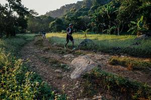 BIB: 
                            <button type="button" onclick="openModal(25916550)" class="btn btn-primary btn-sm float-right btn-popup" data-toggle="modal" data-target=".modal-high-quality">
                        <i class="fas fa-shopping-cart"></i> Add to Cart
                    </button>
                                            <button type="button" onclick="isThisMe(25916550, true)" class="btn btn-success btn-sm float-right btn-popup btn-isme hidden" data-toggle="tooltip" data-placement="bottom" title="นี่คือรูปของคุณใช่ไหม คลิกที่นี่เพื่อเอาเข้าอัลบั้ม">
                        <i class="fas fa-plus"></i> Add to album
                    </button>
                    <button type="button" onclick="isThisMe(25916550, false)" class="btn btn-warning btn-sm float-right btn-popup btn-isnotme hidden">
                        <i class="fas fa-ban"></i> Remove from album
                    </button>