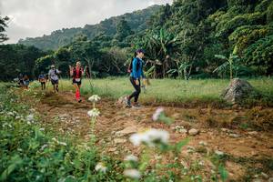 BIB: 
                            <button type="button" onclick="openModal(26029974)" class="btn btn-primary btn-sm float-right btn-popup" data-toggle="modal" data-target=".modal-high-quality">
                        <i class="fas fa-shopping-cart"></i> Add to Cart
                    </button>
                                            <button type="button" onclick="isThisMe(26029974, true)" class="btn btn-success btn-sm float-right btn-popup btn-isme hidden" data-toggle="tooltip" data-placement="bottom" title="นี่คือรูปของคุณใช่ไหม คลิกที่นี่เพื่อเอาเข้าอัลบั้ม">
                        <i class="fas fa-plus"></i> Add to album
                    </button>
                    <button type="button" onclick="isThisMe(26029974, false)" class="btn btn-warning btn-sm float-right btn-popup btn-isnotme hidden">
                        <i class="fas fa-ban"></i> Remove from album
                    </button>