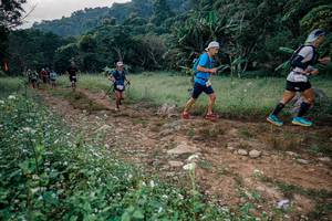 BIB: 
                            <button type="button" onclick="openModal(26027217)" class="btn btn-primary btn-sm float-right btn-popup" data-toggle="modal" data-target=".modal-high-quality">
                        <i class="fas fa-shopping-cart"></i> Add to Cart
                    </button>
                                            <button type="button" onclick="isThisMe(26027217, true)" class="btn btn-success btn-sm float-right btn-popup btn-isme hidden" data-toggle="tooltip" data-placement="bottom" title="นี่คือรูปของคุณใช่ไหม คลิกที่นี่เพื่อเอาเข้าอัลบั้ม">
                        <i class="fas fa-plus"></i> Add to album
                    </button>
                    <button type="button" onclick="isThisMe(26027217, false)" class="btn btn-warning btn-sm float-right btn-popup btn-isnotme hidden">
                        <i class="fas fa-ban"></i> Remove from album
                    </button>