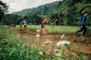 BIB: 
                            <button type="button" onclick="openModal(26029976)" class="btn btn-primary btn-sm float-right btn-popup" data-toggle="modal" data-target=".modal-high-quality">
                        <i class="fas fa-shopping-cart"></i> Add to Cart
                    </button>
                                            <button type="button" onclick="isThisMe(26029976, true)" class="btn btn-success btn-sm float-right btn-popup btn-isme hidden" data-toggle="tooltip" data-placement="bottom" title="นี่คือรูปของคุณใช่ไหม คลิกที่นี่เพื่อเอาเข้าอัลบั้ม">
                        <i class="fas fa-plus"></i> Add to album
                    </button>
                    <button type="button" onclick="isThisMe(26029976, false)" class="btn btn-warning btn-sm float-right btn-popup btn-isnotme hidden">
                        <i class="fas fa-ban"></i> Remove from album
                    </button>