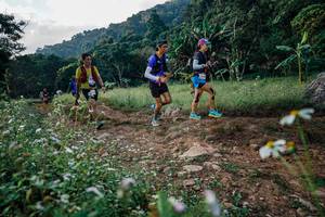 BIB: 
                            <button type="button" onclick="openModal(26009685)" class="btn btn-primary btn-sm float-right btn-popup" data-toggle="modal" data-target=".modal-high-quality">
                        <i class="fas fa-shopping-cart"></i> Add to Cart
                    </button>
                                            <button type="button" onclick="isThisMe(26009685, true)" class="btn btn-success btn-sm float-right btn-popup btn-isme hidden" data-toggle="tooltip" data-placement="bottom" title="นี่คือรูปของคุณใช่ไหม คลิกที่นี่เพื่อเอาเข้าอัลบั้ม">
                        <i class="fas fa-plus"></i> Add to album
                    </button>
                    <button type="button" onclick="isThisMe(26009685, false)" class="btn btn-warning btn-sm float-right btn-popup btn-isnotme hidden">
                        <i class="fas fa-ban"></i> Remove from album
                    </button>