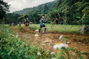 BIB: 
                            <button type="button" onclick="openModal(26030029)" class="btn btn-primary btn-sm float-right btn-popup" data-toggle="modal" data-target=".modal-high-quality">
                        <i class="fas fa-shopping-cart"></i> Add to Cart
                    </button>
                                            <button type="button" onclick="isThisMe(26030029, true)" class="btn btn-success btn-sm float-right btn-popup btn-isme hidden" data-toggle="tooltip" data-placement="bottom" title="นี่คือรูปของคุณใช่ไหม คลิกที่นี่เพื่อเอาเข้าอัลบั้ม">
                        <i class="fas fa-plus"></i> Add to album
                    </button>
                    <button type="button" onclick="isThisMe(26030029, false)" class="btn btn-warning btn-sm float-right btn-popup btn-isnotme hidden">
                        <i class="fas fa-ban"></i> Remove from album
                    </button>