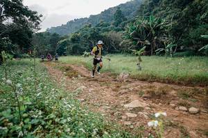 BIB: 
                            <button type="button" onclick="openModal(26028375)" class="btn btn-primary btn-sm float-right btn-popup" data-toggle="modal" data-target=".modal-high-quality">
                        <i class="fas fa-shopping-cart"></i> Add to Cart
                    </button>
                                            <button type="button" onclick="isThisMe(26028375, true)" class="btn btn-success btn-sm float-right btn-popup btn-isme hidden" data-toggle="tooltip" data-placement="bottom" title="นี่คือรูปของคุณใช่ไหม คลิกที่นี่เพื่อเอาเข้าอัลบั้ม">
                        <i class="fas fa-plus"></i> Add to album
                    </button>
                    <button type="button" onclick="isThisMe(26028375, false)" class="btn btn-warning btn-sm float-right btn-popup btn-isnotme hidden">
                        <i class="fas fa-ban"></i> Remove from album
                    </button>