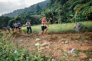 BIB: 
                            <button type="button" onclick="openModal(26028705)" class="btn btn-primary btn-sm float-right btn-popup" data-toggle="modal" data-target=".modal-high-quality">
                        <i class="fas fa-shopping-cart"></i> Add to Cart
                    </button>
                                            <button type="button" onclick="isThisMe(26028705, true)" class="btn btn-success btn-sm float-right btn-popup btn-isme hidden" data-toggle="tooltip" data-placement="bottom" title="นี่คือรูปของคุณใช่ไหม คลิกที่นี่เพื่อเอาเข้าอัลบั้ม">
                        <i class="fas fa-plus"></i> Add to album
                    </button>
                    <button type="button" onclick="isThisMe(26028705, false)" class="btn btn-warning btn-sm float-right btn-popup btn-isnotme hidden">
                        <i class="fas fa-ban"></i> Remove from album
                    </button>