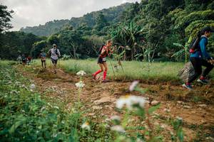 BIB: 
                            <button type="button" onclick="openModal(26029978)" class="btn btn-primary btn-sm float-right btn-popup" data-toggle="modal" data-target=".modal-high-quality">
                        <i class="fas fa-shopping-cart"></i> Add to Cart
                    </button>
                                            <button type="button" onclick="isThisMe(26029978, true)" class="btn btn-success btn-sm float-right btn-popup btn-isme hidden" data-toggle="tooltip" data-placement="bottom" title="นี่คือรูปของคุณใช่ไหม คลิกที่นี่เพื่อเอาเข้าอัลบั้ม">
                        <i class="fas fa-plus"></i> Add to album
                    </button>
                    <button type="button" onclick="isThisMe(26029978, false)" class="btn btn-warning btn-sm float-right btn-popup btn-isnotme hidden">
                        <i class="fas fa-ban"></i> Remove from album
                    </button>