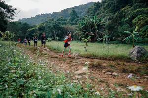 BIB: 
                            <button type="button" onclick="openModal(26028053)" class="btn btn-primary btn-sm float-right btn-popup" data-toggle="modal" data-target=".modal-high-quality">
                        <i class="fas fa-shopping-cart"></i> Add to Cart
                    </button>
                                            <button type="button" onclick="isThisMe(26028053, true)" class="btn btn-success btn-sm float-right btn-popup btn-isme hidden" data-toggle="tooltip" data-placement="bottom" title="นี่คือรูปของคุณใช่ไหม คลิกที่นี่เพื่อเอาเข้าอัลบั้ม">
                        <i class="fas fa-plus"></i> Add to album
                    </button>
                    <button type="button" onclick="isThisMe(26028053, false)" class="btn btn-warning btn-sm float-right btn-popup btn-isnotme hidden">
                        <i class="fas fa-ban"></i> Remove from album
                    </button>