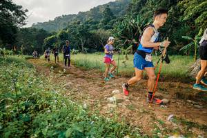 BIB: 
                            <button type="button" onclick="openModal(26029855)" class="btn btn-primary btn-sm float-right btn-popup" data-toggle="modal" data-target=".modal-high-quality">
                        <i class="fas fa-shopping-cart"></i> Add to Cart
                    </button>
                                            <button type="button" onclick="isThisMe(26029855, true)" class="btn btn-success btn-sm float-right btn-popup btn-isme hidden" data-toggle="tooltip" data-placement="bottom" title="นี่คือรูปของคุณใช่ไหม คลิกที่นี่เพื่อเอาเข้าอัลบั้ม">
                        <i class="fas fa-plus"></i> Add to album
                    </button>
                    <button type="button" onclick="isThisMe(26029855, false)" class="btn btn-warning btn-sm float-right btn-popup btn-isnotme hidden">
                        <i class="fas fa-ban"></i> Remove from album
                    </button>