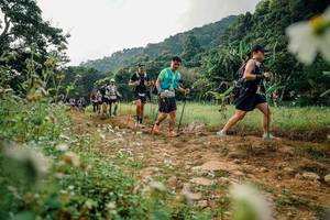 BIB: 
                            <button type="button" onclick="openModal(26068716)" class="btn btn-primary btn-sm float-right btn-popup" data-toggle="modal" data-target=".modal-high-quality">
                        <i class="fas fa-shopping-cart"></i> Add to Cart
                    </button>
                                            <button type="button" onclick="isThisMe(26068716, true)" class="btn btn-success btn-sm float-right btn-popup btn-isme hidden" data-toggle="tooltip" data-placement="bottom" title="นี่คือรูปของคุณใช่ไหม คลิกที่นี่เพื่อเอาเข้าอัลบั้ม">
                        <i class="fas fa-plus"></i> Add to album
                    </button>
                    <button type="button" onclick="isThisMe(26068716, false)" class="btn btn-warning btn-sm float-right btn-popup btn-isnotme hidden">
                        <i class="fas fa-ban"></i> Remove from album
                    </button>