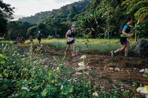 BIB: 
                            <button type="button" onclick="openModal(25994056)" class="btn btn-primary btn-sm float-right btn-popup" data-toggle="modal" data-target=".modal-high-quality">
                        <i class="fas fa-shopping-cart"></i> Add to Cart
                    </button>
                                            <button type="button" onclick="isThisMe(25994056, true)" class="btn btn-success btn-sm float-right btn-popup btn-isme hidden" data-toggle="tooltip" data-placement="bottom" title="นี่คือรูปของคุณใช่ไหม คลิกที่นี่เพื่อเอาเข้าอัลบั้ม">
                        <i class="fas fa-plus"></i> Add to album
                    </button>
                    <button type="button" onclick="isThisMe(25994056, false)" class="btn btn-warning btn-sm float-right btn-popup btn-isnotme hidden">
                        <i class="fas fa-ban"></i> Remove from album
                    </button>