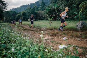 BIB: 
                            <button type="button" onclick="openModal(26026861)" class="btn btn-primary btn-sm float-right btn-popup" data-toggle="modal" data-target=".modal-high-quality">
                        <i class="fas fa-shopping-cart"></i> Add to Cart
                    </button>
                                            <button type="button" onclick="isThisMe(26026861, true)" class="btn btn-success btn-sm float-right btn-popup btn-isme hidden" data-toggle="tooltip" data-placement="bottom" title="นี่คือรูปของคุณใช่ไหม คลิกที่นี่เพื่อเอาเข้าอัลบั้ม">
                        <i class="fas fa-plus"></i> Add to album
                    </button>
                    <button type="button" onclick="isThisMe(26026861, false)" class="btn btn-warning btn-sm float-right btn-popup btn-isnotme hidden">
                        <i class="fas fa-ban"></i> Remove from album
                    </button>