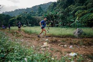 BIB: 
                            <button type="button" onclick="openModal(26027967)" class="btn btn-primary btn-sm float-right btn-popup" data-toggle="modal" data-target=".modal-high-quality">
                        <i class="fas fa-shopping-cart"></i> Add to Cart
                    </button>
                                            <button type="button" onclick="isThisMe(26027967, true)" class="btn btn-success btn-sm float-right btn-popup btn-isme hidden" data-toggle="tooltip" data-placement="bottom" title="นี่คือรูปของคุณใช่ไหม คลิกที่นี่เพื่อเอาเข้าอัลบั้ม">
                        <i class="fas fa-plus"></i> Add to album
                    </button>
                    <button type="button" onclick="isThisMe(26027967, false)" class="btn btn-warning btn-sm float-right btn-popup btn-isnotme hidden">
                        <i class="fas fa-ban"></i> Remove from album
                    </button>