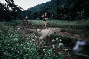 BIB: 
                            <button type="button" onclick="openModal(25777896)" class="btn btn-primary btn-sm float-right btn-popup" data-toggle="modal" data-target=".modal-high-quality">
                        <i class="fas fa-shopping-cart"></i> Add to Cart
                    </button>
                                            <button type="button" onclick="isThisMe(25777896, true)" class="btn btn-success btn-sm float-right btn-popup btn-isme hidden" data-toggle="tooltip" data-placement="bottom" title="นี่คือรูปของคุณใช่ไหม คลิกที่นี่เพื่อเอาเข้าอัลบั้ม">
                        <i class="fas fa-plus"></i> Add to album
                    </button>
                    <button type="button" onclick="isThisMe(25777896, false)" class="btn btn-warning btn-sm float-right btn-popup btn-isnotme hidden">
                        <i class="fas fa-ban"></i> Remove from album
                    </button>