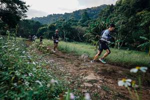 BIB: 
                            <button type="button" onclick="openModal(26009494)" class="btn btn-primary btn-sm float-right btn-popup" data-toggle="modal" data-target=".modal-high-quality">
                        <i class="fas fa-shopping-cart"></i> Add to Cart
                    </button>
                                            <button type="button" onclick="isThisMe(26009494, true)" class="btn btn-success btn-sm float-right btn-popup btn-isme hidden" data-toggle="tooltip" data-placement="bottom" title="นี่คือรูปของคุณใช่ไหม คลิกที่นี่เพื่อเอาเข้าอัลบั้ม">
                        <i class="fas fa-plus"></i> Add to album
                    </button>
                    <button type="button" onclick="isThisMe(26009494, false)" class="btn btn-warning btn-sm float-right btn-popup btn-isnotme hidden">
                        <i class="fas fa-ban"></i> Remove from album
                    </button>