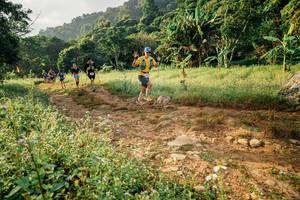 BIB: 
                            <button type="button" onclick="openModal(26029670)" class="btn btn-primary btn-sm float-right btn-popup" data-toggle="modal" data-target=".modal-high-quality">
                        <i class="fas fa-shopping-cart"></i> Add to Cart
                    </button>
                                            <button type="button" onclick="isThisMe(26029670, true)" class="btn btn-success btn-sm float-right btn-popup btn-isme hidden" data-toggle="tooltip" data-placement="bottom" title="นี่คือรูปของคุณใช่ไหม คลิกที่นี่เพื่อเอาเข้าอัลบั้ม">
                        <i class="fas fa-plus"></i> Add to album
                    </button>
                    <button type="button" onclick="isThisMe(26029670, false)" class="btn btn-warning btn-sm float-right btn-popup btn-isnotme hidden">
                        <i class="fas fa-ban"></i> Remove from album
                    </button>