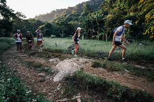 BIB: 
                            <button type="button" onclick="openModal(25859993)" class="btn btn-primary btn-sm float-right btn-popup" data-toggle="modal" data-target=".modal-high-quality">
                        <i class="fas fa-shopping-cart"></i> Add to Cart
                    </button>
                                            <button type="button" onclick="isThisMe(25859993, true)" class="btn btn-success btn-sm float-right btn-popup btn-isme hidden" data-toggle="tooltip" data-placement="bottom" title="นี่คือรูปของคุณใช่ไหม คลิกที่นี่เพื่อเอาเข้าอัลบั้ม">
                        <i class="fas fa-plus"></i> Add to album
                    </button>
                    <button type="button" onclick="isThisMe(25859993, false)" class="btn btn-warning btn-sm float-right btn-popup btn-isnotme hidden">
                        <i class="fas fa-ban"></i> Remove from album
                    </button>