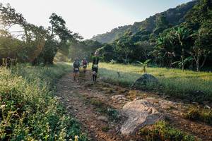 BIB: 
                            <button type="button" onclick="openModal(25985408)" class="btn btn-primary btn-sm float-right btn-popup" data-toggle="modal" data-target=".modal-high-quality">
                        <i class="fas fa-shopping-cart"></i> Add to Cart
                    </button>
                                            <button type="button" onclick="isThisMe(25985408, true)" class="btn btn-success btn-sm float-right btn-popup btn-isme hidden" data-toggle="tooltip" data-placement="bottom" title="นี่คือรูปของคุณใช่ไหม คลิกที่นี่เพื่อเอาเข้าอัลบั้ม">
                        <i class="fas fa-plus"></i> Add to album
                    </button>
                    <button type="button" onclick="isThisMe(25985408, false)" class="btn btn-warning btn-sm float-right btn-popup btn-isnotme hidden">
                        <i class="fas fa-ban"></i> Remove from album
                    </button>