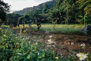 BIB: 
                            <button type="button" onclick="openModal(25993880)" class="btn btn-primary btn-sm float-right btn-popup" data-toggle="modal" data-target=".modal-high-quality">
                        <i class="fas fa-shopping-cart"></i> Add to Cart
                    </button>
                                            <button type="button" onclick="isThisMe(25993880, true)" class="btn btn-success btn-sm float-right btn-popup btn-isme hidden" data-toggle="tooltip" data-placement="bottom" title="นี่คือรูปของคุณใช่ไหม คลิกที่นี่เพื่อเอาเข้าอัลบั้ม">
                        <i class="fas fa-plus"></i> Add to album
                    </button>
                    <button type="button" onclick="isThisMe(25993880, false)" class="btn btn-warning btn-sm float-right btn-popup btn-isnotme hidden">
                        <i class="fas fa-ban"></i> Remove from album
                    </button>