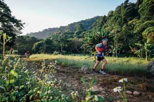 BIB: 
                            <button type="button" onclick="openModal(25988779)" class="btn btn-primary btn-sm float-right btn-popup" data-toggle="modal" data-target=".modal-high-quality">
                        <i class="fas fa-shopping-cart"></i> Add to Cart
                    </button>
                                            <button type="button" onclick="isThisMe(25988779, true)" class="btn btn-success btn-sm float-right btn-popup btn-isme hidden" data-toggle="tooltip" data-placement="bottom" title="นี่คือรูปของคุณใช่ไหม คลิกที่นี่เพื่อเอาเข้าอัลบั้ม">
                        <i class="fas fa-plus"></i> Add to album
                    </button>
                    <button type="button" onclick="isThisMe(25988779, false)" class="btn btn-warning btn-sm float-right btn-popup btn-isnotme hidden">
                        <i class="fas fa-ban"></i> Remove from album
                    </button>