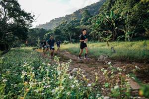 BIB: 
                            <button type="button" onclick="openModal(26008942)" class="btn btn-primary btn-sm float-right btn-popup" data-toggle="modal" data-target=".modal-high-quality">
                        <i class="fas fa-shopping-cart"></i> Add to Cart
                    </button>
                                            <button type="button" onclick="isThisMe(26008942, true)" class="btn btn-success btn-sm float-right btn-popup btn-isme hidden" data-toggle="tooltip" data-placement="bottom" title="นี่คือรูปของคุณใช่ไหม คลิกที่นี่เพื่อเอาเข้าอัลบั้ม">
                        <i class="fas fa-plus"></i> Add to album
                    </button>
                    <button type="button" onclick="isThisMe(26008942, false)" class="btn btn-warning btn-sm float-right btn-popup btn-isnotme hidden">
                        <i class="fas fa-ban"></i> Remove from album
                    </button>