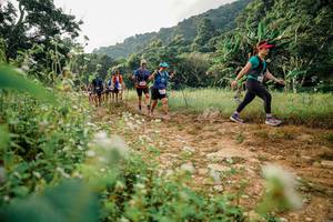 BIB: 
                            <button type="button" onclick="openModal(26033771)" class="btn btn-primary btn-sm float-right btn-popup" data-toggle="modal" data-target=".modal-high-quality">
                        <i class="fas fa-shopping-cart"></i> Add to Cart
                    </button>
                                            <button type="button" onclick="isThisMe(26033771, true)" class="btn btn-success btn-sm float-right btn-popup btn-isme hidden" data-toggle="tooltip" data-placement="bottom" title="นี่คือรูปของคุณใช่ไหม คลิกที่นี่เพื่อเอาเข้าอัลบั้ม">
                        <i class="fas fa-plus"></i> Add to album
                    </button>
                    <button type="button" onclick="isThisMe(26033771, false)" class="btn btn-warning btn-sm float-right btn-popup btn-isnotme hidden">
                        <i class="fas fa-ban"></i> Remove from album
                    </button>