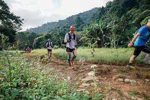 BIB: 
                            <button type="button" onclick="openModal(26028867)" class="btn btn-primary btn-sm float-right btn-popup" data-toggle="modal" data-target=".modal-high-quality">
                        <i class="fas fa-shopping-cart"></i> Add to Cart
                    </button>
                                            <button type="button" onclick="isThisMe(26028867, true)" class="btn btn-success btn-sm float-right btn-popup btn-isme hidden" data-toggle="tooltip" data-placement="bottom" title="นี่คือรูปของคุณใช่ไหม คลิกที่นี่เพื่อเอาเข้าอัลบั้ม">
                        <i class="fas fa-plus"></i> Add to album
                    </button>
                    <button type="button" onclick="isThisMe(26028867, false)" class="btn btn-warning btn-sm float-right btn-popup btn-isnotme hidden">
                        <i class="fas fa-ban"></i> Remove from album
                    </button>