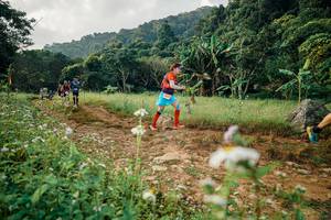 BIB: 
                            <button type="button" onclick="openModal(26030019)" class="btn btn-primary btn-sm float-right btn-popup" data-toggle="modal" data-target=".modal-high-quality">
                        <i class="fas fa-shopping-cart"></i> Add to Cart
                    </button>
                                            <button type="button" onclick="isThisMe(26030019, true)" class="btn btn-success btn-sm float-right btn-popup btn-isme hidden" data-toggle="tooltip" data-placement="bottom" title="นี่คือรูปของคุณใช่ไหม คลิกที่นี่เพื่อเอาเข้าอัลบั้ม">
                        <i class="fas fa-plus"></i> Add to album
                    </button>
                    <button type="button" onclick="isThisMe(26030019, false)" class="btn btn-warning btn-sm float-right btn-popup btn-isnotme hidden">
                        <i class="fas fa-ban"></i> Remove from album
                    </button>