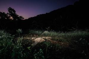 BIB: 
                            <button type="button" onclick="openModal(25712358)" class="btn btn-primary btn-sm float-right btn-popup" data-toggle="modal" data-target=".modal-high-quality">
                        <i class="fas fa-shopping-cart"></i> Add to Cart
                    </button>
                                            <button type="button" onclick="isThisMe(25712358, true)" class="btn btn-success btn-sm float-right btn-popup btn-isme hidden" data-toggle="tooltip" data-placement="bottom" title="นี่คือรูปของคุณใช่ไหม คลิกที่นี่เพื่อเอาเข้าอัลบั้ม">
                        <i class="fas fa-plus"></i> Add to album
                    </button>
                    <button type="button" onclick="isThisMe(25712358, false)" class="btn btn-warning btn-sm float-right btn-popup btn-isnotme hidden">
                        <i class="fas fa-ban"></i> Remove from album
                    </button>