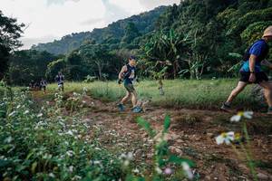 BIB: 
                            <button type="button" onclick="openModal(26009161)" class="btn btn-primary btn-sm float-right btn-popup" data-toggle="modal" data-target=".modal-high-quality">
                        <i class="fas fa-shopping-cart"></i> Add to Cart
                    </button>
                                            <button type="button" onclick="isThisMe(26009161, true)" class="btn btn-success btn-sm float-right btn-popup btn-isme hidden" data-toggle="tooltip" data-placement="bottom" title="นี่คือรูปของคุณใช่ไหม คลิกที่นี่เพื่อเอาเข้าอัลบั้ม">
                        <i class="fas fa-plus"></i> Add to album
                    </button>
                    <button type="button" onclick="isThisMe(26009161, false)" class="btn btn-warning btn-sm float-right btn-popup btn-isnotme hidden">
                        <i class="fas fa-ban"></i> Remove from album
                    </button>