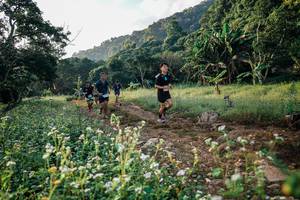 BIB: 
                            <button type="button" onclick="openModal(26008941)" class="btn btn-primary btn-sm float-right btn-popup" data-toggle="modal" data-target=".modal-high-quality">
                        <i class="fas fa-shopping-cart"></i> Add to Cart
                    </button>
                                            <button type="button" onclick="isThisMe(26008941, true)" class="btn btn-success btn-sm float-right btn-popup btn-isme hidden" data-toggle="tooltip" data-placement="bottom" title="นี่คือรูปของคุณใช่ไหม คลิกที่นี่เพื่อเอาเข้าอัลบั้ม">
                        <i class="fas fa-plus"></i> Add to album
                    </button>
                    <button type="button" onclick="isThisMe(26008941, false)" class="btn btn-warning btn-sm float-right btn-popup btn-isnotme hidden">
                        <i class="fas fa-ban"></i> Remove from album
                    </button>