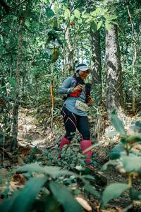 BIB: 
                            <button type="button" onclick="openModal(26127521)" class="btn btn-primary btn-sm float-right btn-popup" data-toggle="modal" data-target=".modal-high-quality">
                        <i class="fas fa-shopping-cart"></i> Add to Cart
                    </button>
                                            <button type="button" onclick="isThisMe(26127521, true)" class="btn btn-success btn-sm float-right btn-popup btn-isme hidden" data-toggle="tooltip" data-placement="bottom" title="นี่คือรูปของคุณใช่ไหม คลิกที่นี่เพื่อเอาเข้าอัลบั้ม">
                        <i class="fas fa-plus"></i> Add to album
                    </button>
                    <button type="button" onclick="isThisMe(26127521, false)" class="btn btn-warning btn-sm float-right btn-popup btn-isnotme hidden">
                        <i class="fas fa-ban"></i> Remove from album
                    </button>