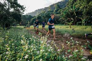 BIB: 
                            <button type="button" onclick="openModal(26008950)" class="btn btn-primary btn-sm float-right btn-popup" data-toggle="modal" data-target=".modal-high-quality">
                        <i class="fas fa-shopping-cart"></i> Add to Cart
                    </button>
                                            <button type="button" onclick="isThisMe(26008950, true)" class="btn btn-success btn-sm float-right btn-popup btn-isme hidden" data-toggle="tooltip" data-placement="bottom" title="นี่คือรูปของคุณใช่ไหม คลิกที่นี่เพื่อเอาเข้าอัลบั้ม">
                        <i class="fas fa-plus"></i> Add to album
                    </button>
                    <button type="button" onclick="isThisMe(26008950, false)" class="btn btn-warning btn-sm float-right btn-popup btn-isnotme hidden">
                        <i class="fas fa-ban"></i> Remove from album
                    </button>