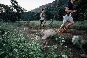 BIB: 
                            <button type="button" onclick="openModal(25793667)" class="btn btn-primary btn-sm float-right btn-popup" data-toggle="modal" data-target=".modal-high-quality">
                        <i class="fas fa-shopping-cart"></i> Add to Cart
                    </button>
                                            <button type="button" onclick="isThisMe(25793667, true)" class="btn btn-success btn-sm float-right btn-popup btn-isme hidden" data-toggle="tooltip" data-placement="bottom" title="นี่คือรูปของคุณใช่ไหม คลิกที่นี่เพื่อเอาเข้าอัลบั้ม">
                        <i class="fas fa-plus"></i> Add to album
                    </button>
                    <button type="button" onclick="isThisMe(25793667, false)" class="btn btn-warning btn-sm float-right btn-popup btn-isnotme hidden">
                        <i class="fas fa-ban"></i> Remove from album
                    </button>