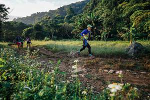 BIB: 
                            <button type="button" onclick="openModal(25993111)" class="btn btn-primary btn-sm float-right btn-popup" data-toggle="modal" data-target=".modal-high-quality">
                        <i class="fas fa-shopping-cart"></i> Add to Cart
                    </button>
                                            <button type="button" onclick="isThisMe(25993111, true)" class="btn btn-success btn-sm float-right btn-popup btn-isme hidden" data-toggle="tooltip" data-placement="bottom" title="นี่คือรูปของคุณใช่ไหม คลิกที่นี่เพื่อเอาเข้าอัลบั้ม">
                        <i class="fas fa-plus"></i> Add to album
                    </button>
                    <button type="button" onclick="isThisMe(25993111, false)" class="btn btn-warning btn-sm float-right btn-popup btn-isnotme hidden">
                        <i class="fas fa-ban"></i> Remove from album
                    </button>