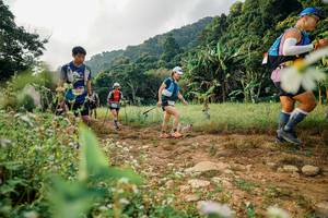 BIB: , 
                            <button type="button" onclick="openModal(26030598)" class="btn btn-primary btn-sm float-right btn-popup" data-toggle="modal" data-target=".modal-high-quality">
                        <i class="fas fa-shopping-cart"></i> Add to Cart
                    </button>
                                            <button type="button" onclick="isThisMe(26030598, true)" class="btn btn-success btn-sm float-right btn-popup btn-isme hidden" data-toggle="tooltip" data-placement="bottom" title="นี่คือรูปของคุณใช่ไหม คลิกที่นี่เพื่อเอาเข้าอัลบั้ม">
                        <i class="fas fa-plus"></i> Add to album
                    </button>
                    <button type="button" onclick="isThisMe(26030598, false)" class="btn btn-warning btn-sm float-right btn-popup btn-isnotme hidden">
                        <i class="fas fa-ban"></i> Remove from album
                    </button>