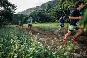 BIB: 
                            <button type="button" onclick="openModal(26008966)" class="btn btn-primary btn-sm float-right btn-popup" data-toggle="modal" data-target=".modal-high-quality">
                        <i class="fas fa-shopping-cart"></i> Add to Cart
                    </button>
                                            <button type="button" onclick="isThisMe(26008966, true)" class="btn btn-success btn-sm float-right btn-popup btn-isme hidden" data-toggle="tooltip" data-placement="bottom" title="นี่คือรูปของคุณใช่ไหม คลิกที่นี่เพื่อเอาเข้าอัลบั้ม">
                        <i class="fas fa-plus"></i> Add to album
                    </button>
                    <button type="button" onclick="isThisMe(26008966, false)" class="btn btn-warning btn-sm float-right btn-popup btn-isnotme hidden">
                        <i class="fas fa-ban"></i> Remove from album
                    </button>