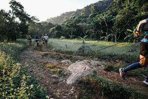 BIB: 
                            <button type="button" onclick="openModal(25884731)" class="btn btn-primary btn-sm float-right btn-popup" data-toggle="modal" data-target=".modal-high-quality">
                        <i class="fas fa-shopping-cart"></i> Add to Cart
                    </button>
                                            <button type="button" onclick="isThisMe(25884731, true)" class="btn btn-success btn-sm float-right btn-popup btn-isme hidden" data-toggle="tooltip" data-placement="bottom" title="นี่คือรูปของคุณใช่ไหม คลิกที่นี่เพื่อเอาเข้าอัลบั้ม">
                        <i class="fas fa-plus"></i> Add to album
                    </button>
                    <button type="button" onclick="isThisMe(25884731, false)" class="btn btn-warning btn-sm float-right btn-popup btn-isnotme hidden">
                        <i class="fas fa-ban"></i> Remove from album
                    </button>